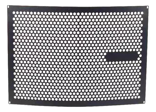 PROTECTOR RADIADOR BMW F900 F900R F900XR