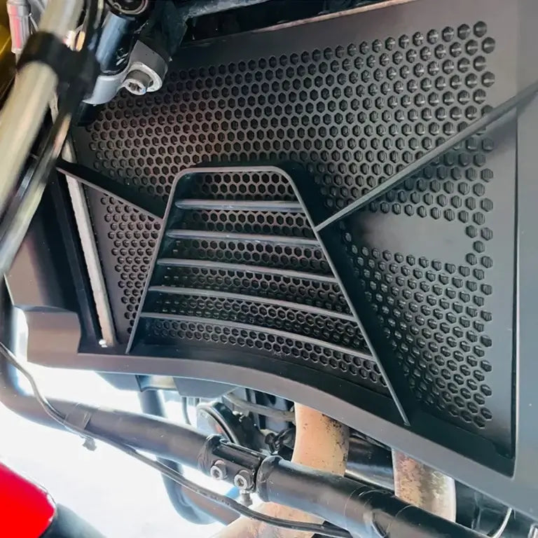 PROTECTOR RADIADOR BMW F900 F900R F900XR 2