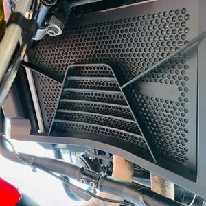 PROTECTOR RADIADOR BMW F900 F900R F900XR 2