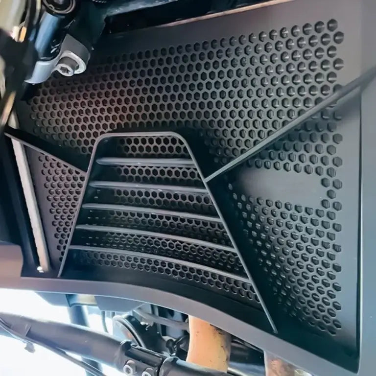 PROTECTOR RADIADOR BMW F900 F900R F900XR 4